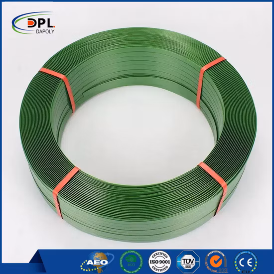 Cinghia di plastica in poliestere Cinghia per animali domestici Rotolo di reggia Cintura da imballaggio verde