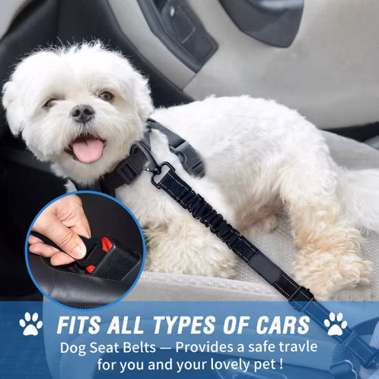 Cinture di sicurezza per auto per cani doppie sicure universali durevoli e resistenti 3 in 1