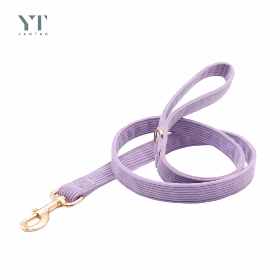 Set di borse e collari per animali domestici in velluto a coste viola di lusso su misura, guinzaglio lungo imbottito, gilet per cani, collare per cani