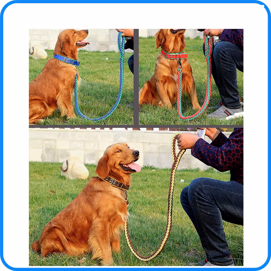 Collare per animali domestici in nylon per cani da cucciolo a prezzo di fabbrica (HP-107)